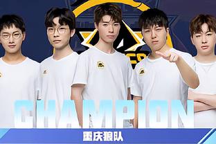 此类细